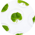Centella Asiatica